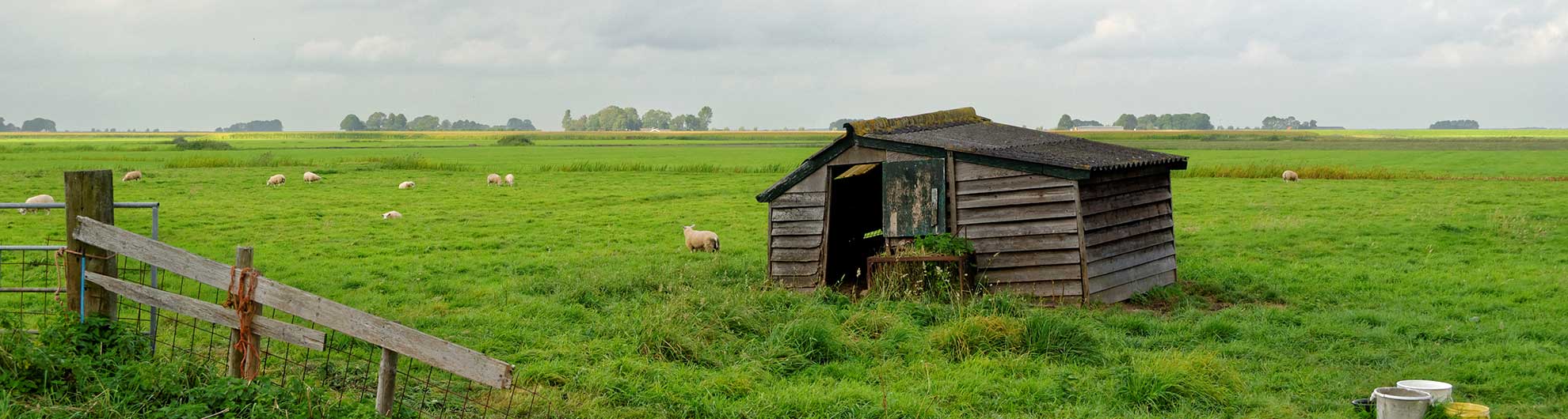 De Slaper  © Pieter Bosch Fotografie