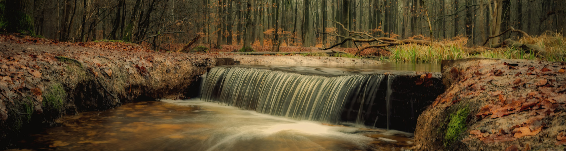 Waterloopbos © Pieter Bosch Fotografie